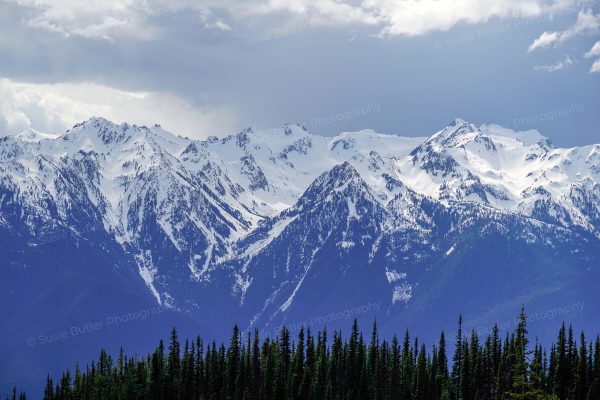 Hurricane Ridge Mountains Photo Print