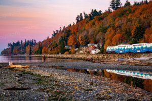 Train and Autumn Colors Photo Print