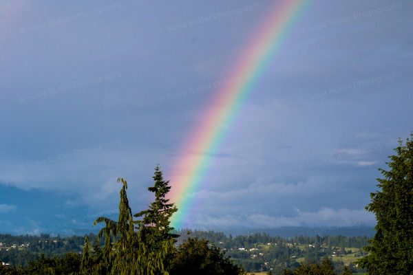 Pacific Northwest Rainbow Photo Print