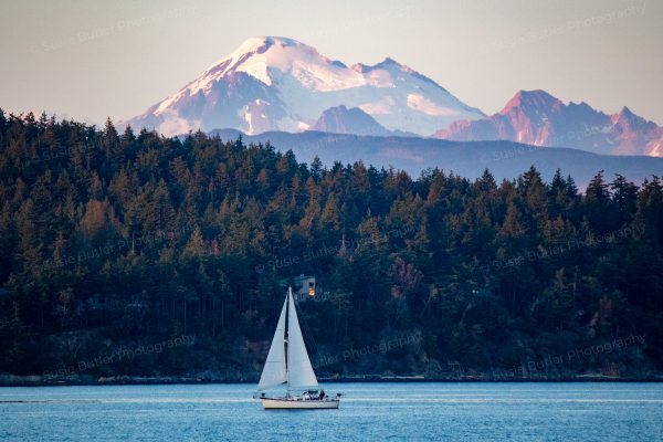 Sailboat and Mt. Baker Photo Print