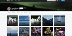 Screenshot of Flickr Photography Albums