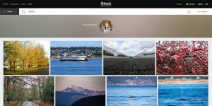 Screenshot of iStock/Getty Images Photography Page